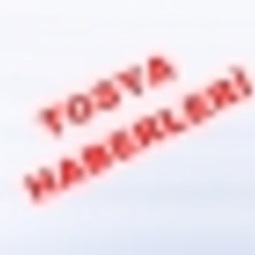 tosyahabarleri