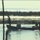 gatorheadvideo