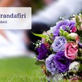trandafiri