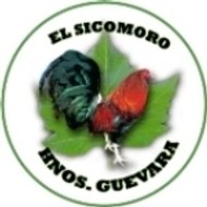 elsicomoro