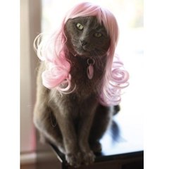 Ірина Фаустова