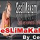 makam35