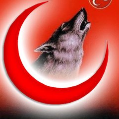 ORHAN ELİBOL