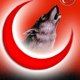 ORHAN ELİBOL