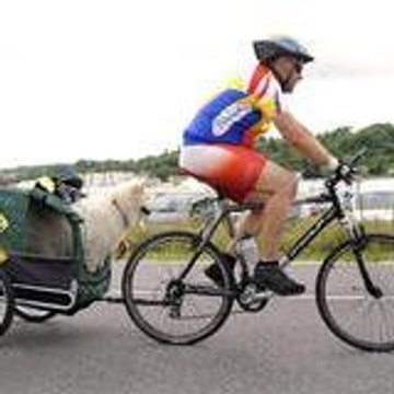 thierry thierry thierry