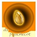 ds pouchecot