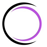 Lost Shadows Productions