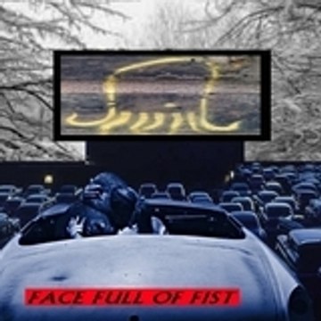 face-full-of-fist