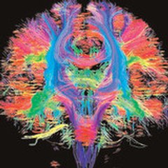 tu_cerebro