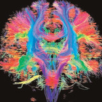 tu_cerebro