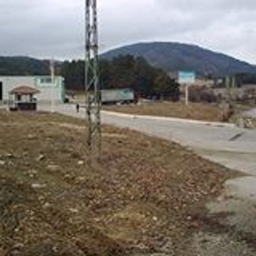 erginyali