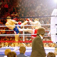 La Boxe pieds-poings