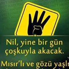 abuzittingucverir