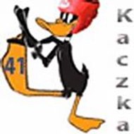 kaczka41