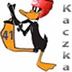 kaczka41