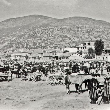 Güvenç Tarim