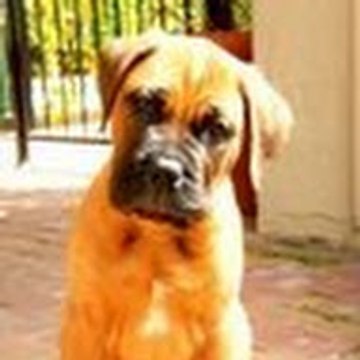 Video Shorts Of All Sorts