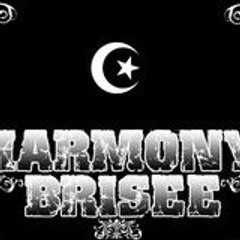 HARMONY BRISÉE