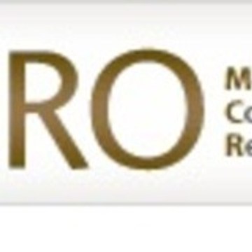 Micro Consulting