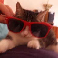 Stéphane Zef Richard