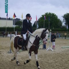 Rosolen megane