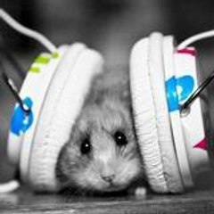 ced57dj