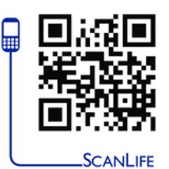 contemporarylistings