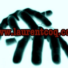 Laurent Coq
