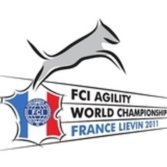 Agility LIEVIN2011