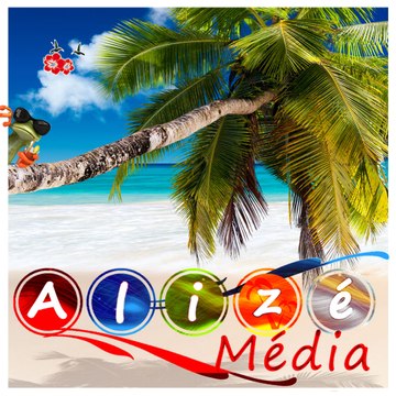 Alizemedia