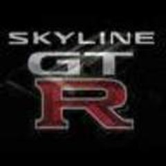 skyman003
