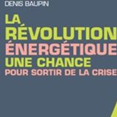 Denis Baupin