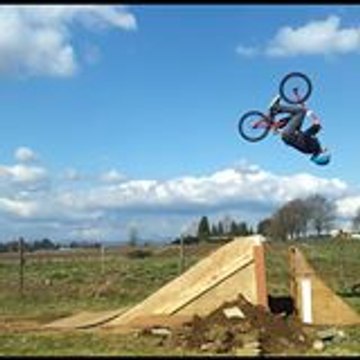 Julian-Willms