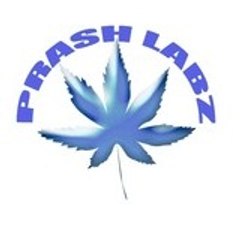prashlabz