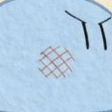 L D