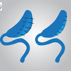 dr. daniel huacuz reviews