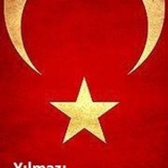 ysilysil