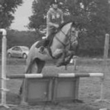 xLaury