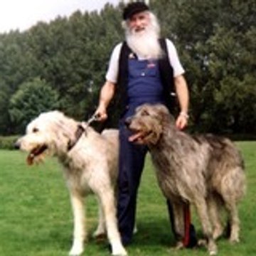 TheLilBadWolfCorp
