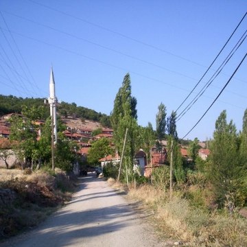 dedelerkoyu sındırgı