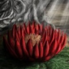 TheRedMandrake
