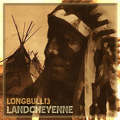 longbull13