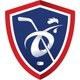 Fédération Française de Hockey sur Glace