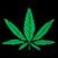 CannabisTrainingUniv