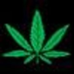 CannabisTrainingUniv