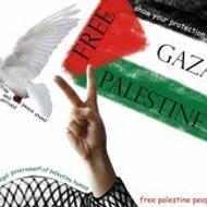 palestine inaseish