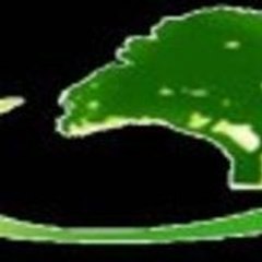 Mohammed Chafchaoueni