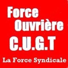 FO Toulouse Métropole