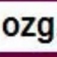 Ozginternship
