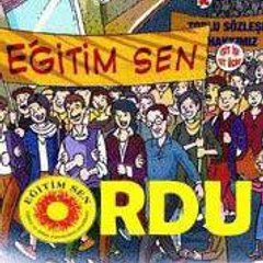 eğitim sen ordu şubesi